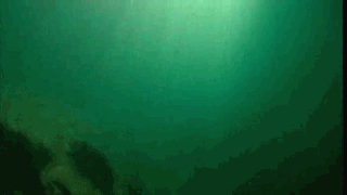 d41bc111728b47102dc97242c3cec3fdfe032390.gif