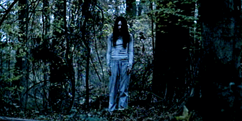 c17975310a55b31923430dfb43a98226cdfc17c4.gif