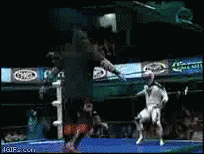 6.gif