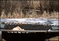 2013120221136732.gif