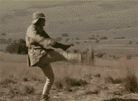 4.gif