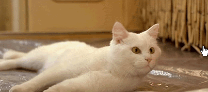 5-130120205323.gif