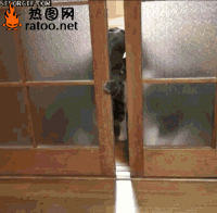 7-120F3145046.gif