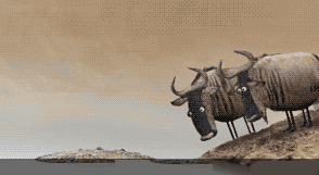 1352138753_6464.gif