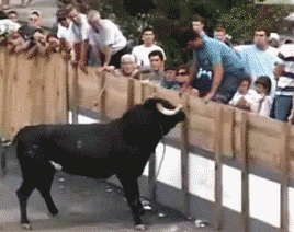 8769bd315c6034a8df9e705fcb134954082376b8.gif