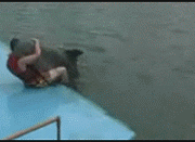 aec379310a55b3198f37211042a98226cefc178c.gif