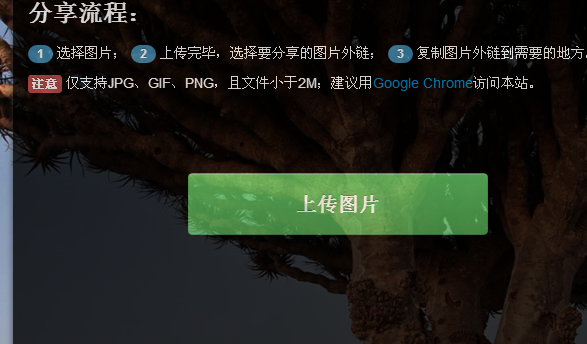 3.png