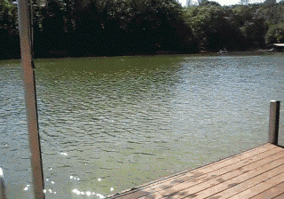L1LK`TP_1RFI16FVIT4KL5Y.gif
