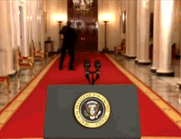 9L5JNTFI%8P{PY9%SHOLYFU.gif