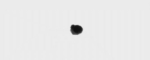 8444.gif