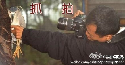 QQͼ20130825084430.png