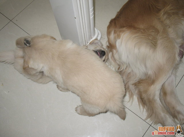 QQͼ20130908105856.png