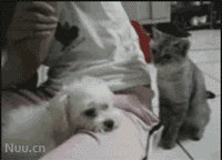 3.gif
