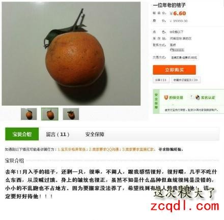 QQͼƬ20140203130436.jpg