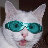 54_avatar_small.jpg