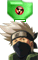 004.gif
