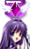 xdpml008.gif