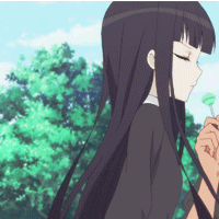 11.gif