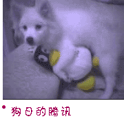 u=3133729407,988626726&amp;fm=21&amp;gp=0.jpg