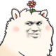 QQͼƬ20140801150717.gif