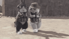 2dd790529822720e8dd44ca87bcb0a46f21fab6e.gif
