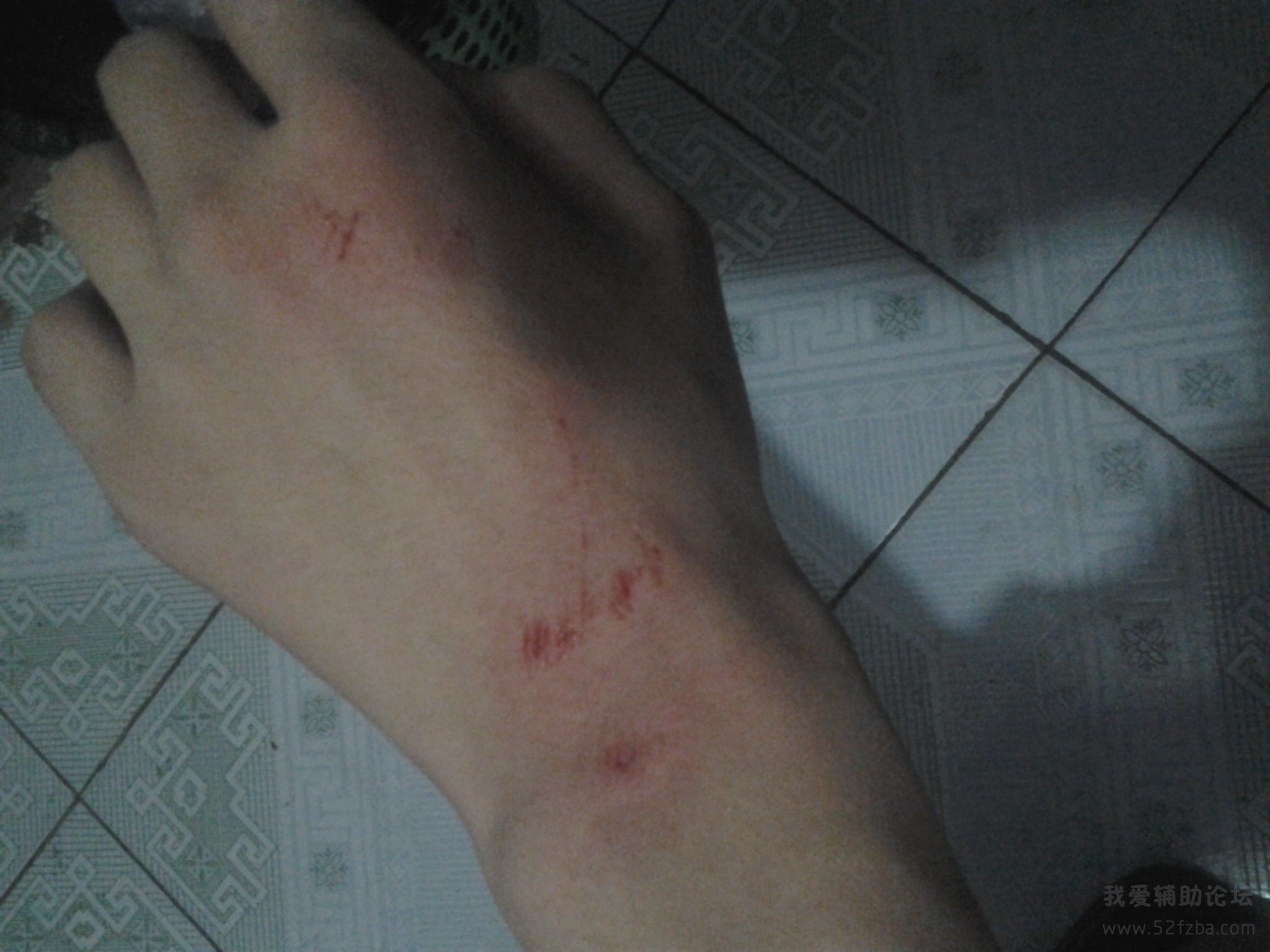 20140826_204509.jpg