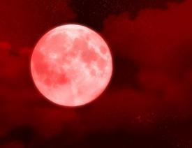 u=585793369,3530143811&amp;fm=21&amp;gp=0.jpg