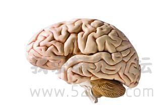 u=3476001136,3016278202&amp;fm=96&amp;s=1201B94084C004F604ACE4080100E093.jpg