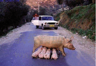 QQͼ20150703142556.png