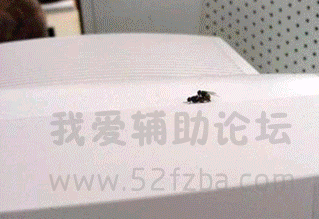 QQͼ20150703143252.png