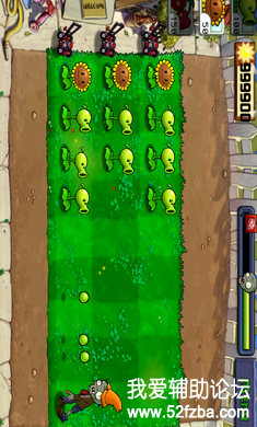 4.png