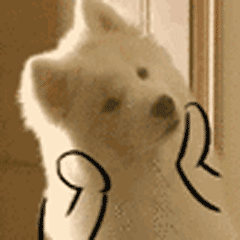 QQͼƬ20170818050548.gif