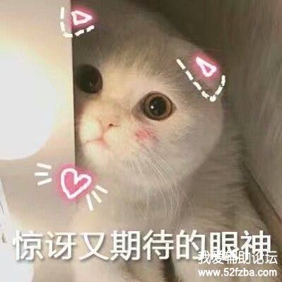 a8014c086e061d955654b85171f40ad162d9ca4d.jpg