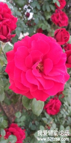IMG_20180501_171224_1.jpg