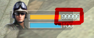 ʵ