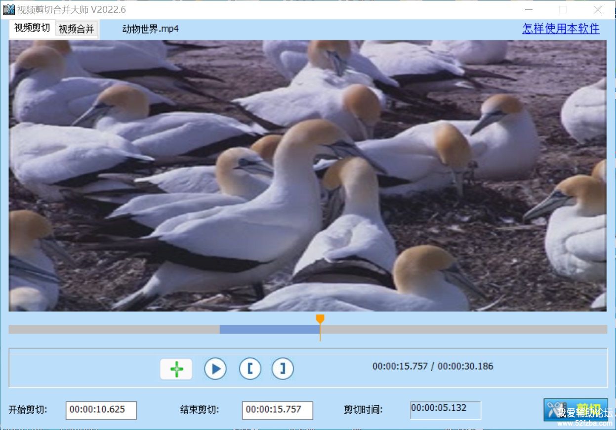 videocutter.jpg